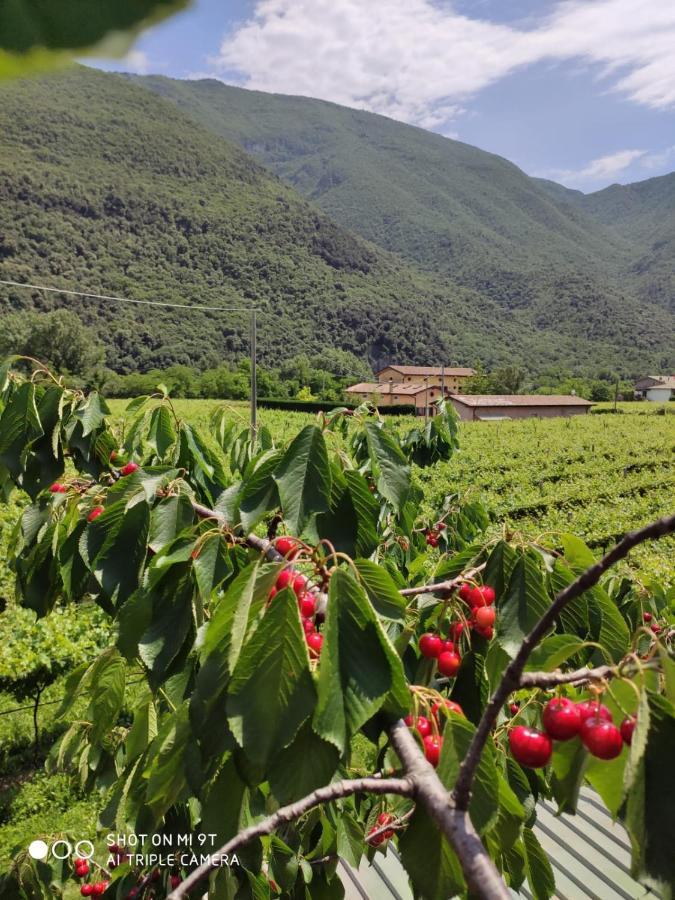 Agriturismo Revena Brentino Belluno Exterior photo